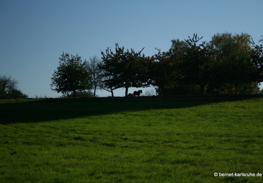 11-10-15-gruenwettersbach-83