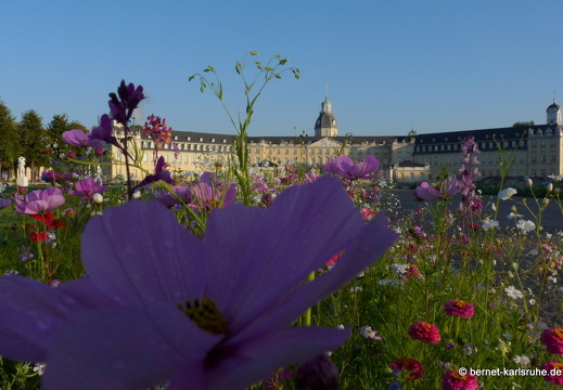 11-10-16-schlossplatz-47