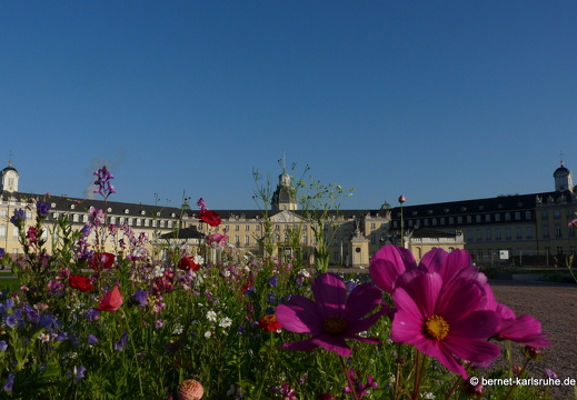11-10-16-schlossplatz-102
