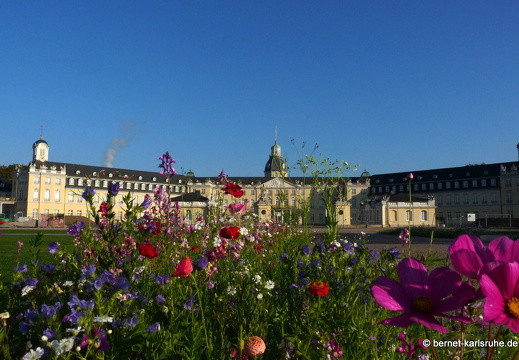 11-10-16-schlossplatz-104