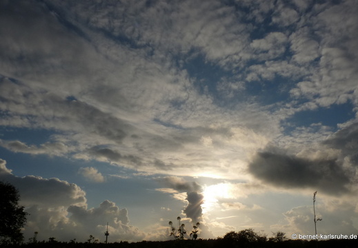 11-10-20-bergwald-wolken-winterraps-funkturm-23
