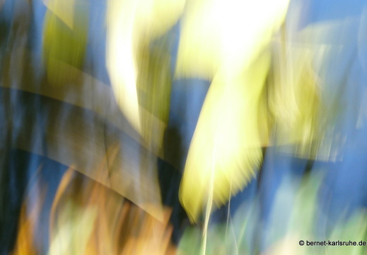 11-10-21-oberwaldsee-16