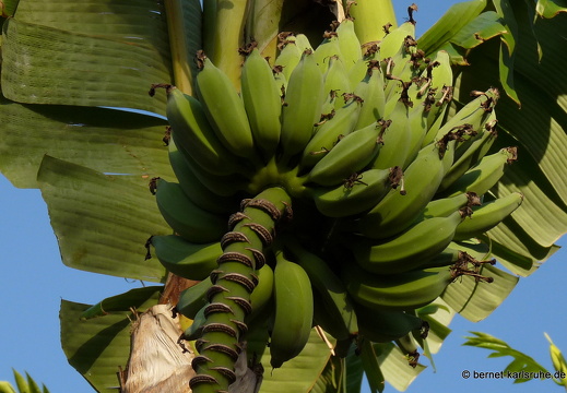 11-10-29-pointecanonniers-75