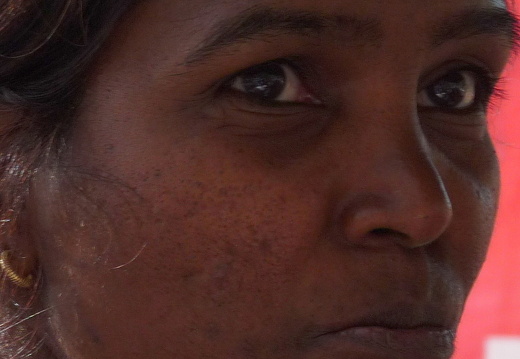 11-10-30-montchoisy-218