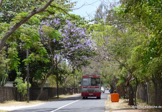 11-10-30-montchoisy-251