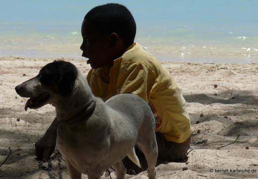 11-11-02-grandbaie-234