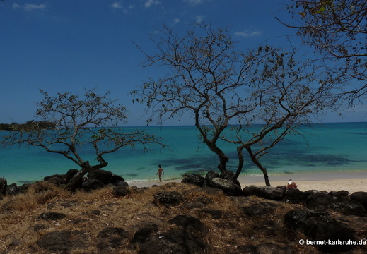 11-11-03-grandbaie-182