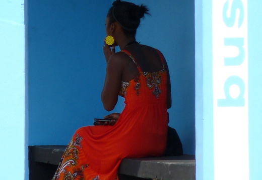 11-11-05-tamarin-bushaltestelle-110