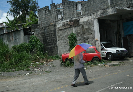 11-11-09-naturetrails-103