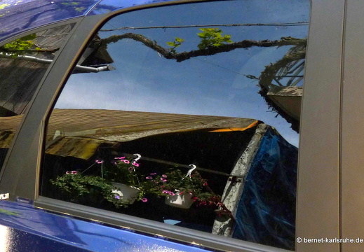 11-05-08-steinweiler-5