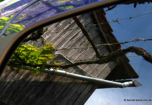 11-05-08-steinweiler-23