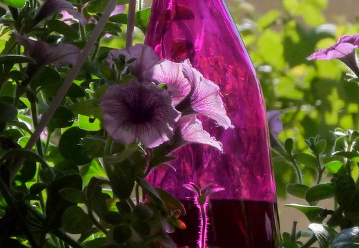 11-05-08-steinweiler-39