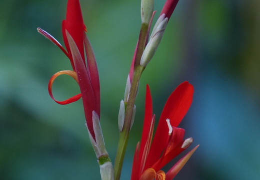 12-11-16-orosilodge-294