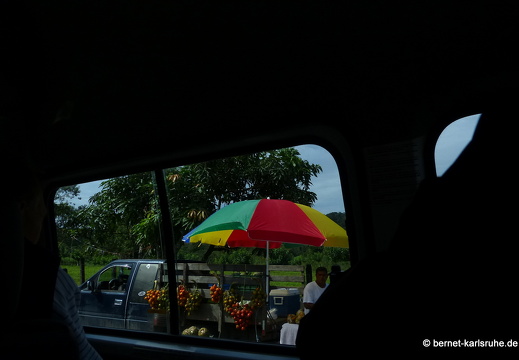 12-11-19-orosi-tirimbina-fahrt-186