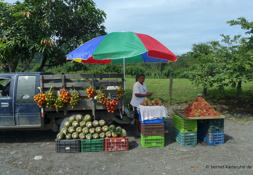 12-11-19-orosi-tirimbina-fahrt-309