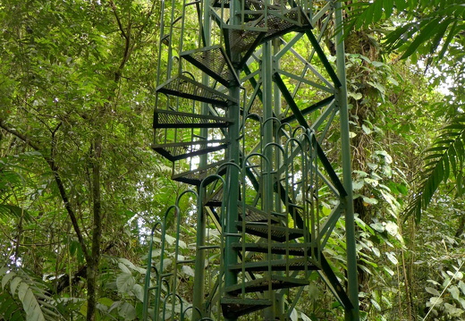 12-11-19-tirimbina-148