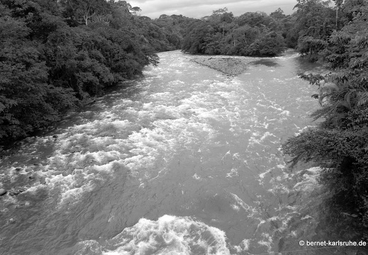 12-11-19-tirimbina-158