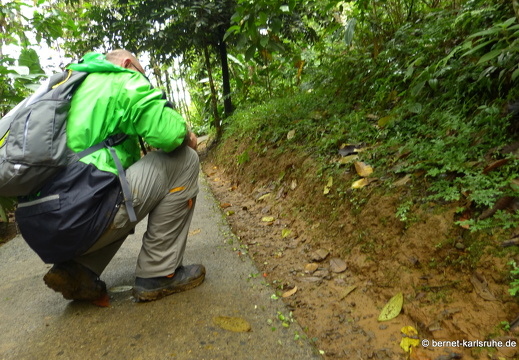 12-11-20-tirimbina-canopy-tour--330