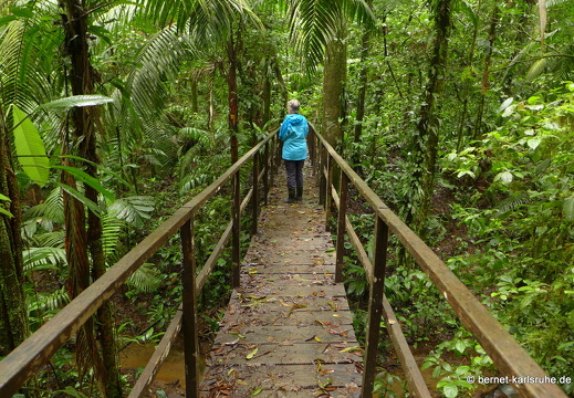 12-11-20-tirimbina-canopy-tour-haengebruecke-320