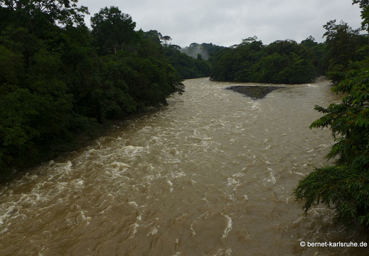 12-11-21-tirimbina-haengebruecke-109