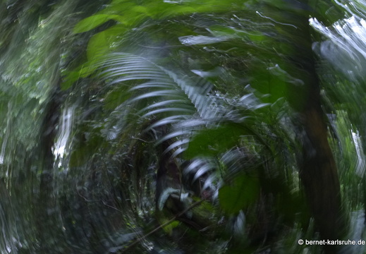 12-11-22-tirimbina-botarrama-tour-228