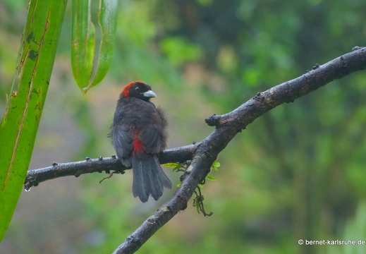 12-11-23-eco-observatory-060