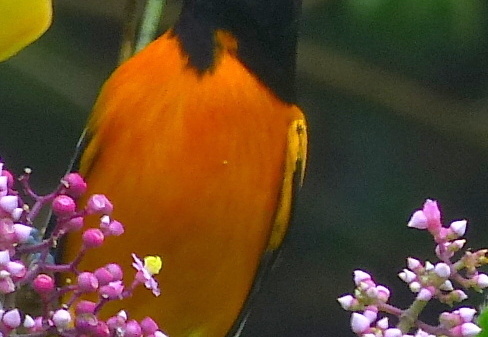 12-11-23-eco-observatory-068