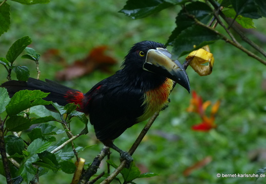 12-11-23-eco-observatory-098