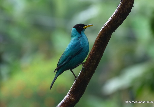 12-11-23-eco-observatory-183