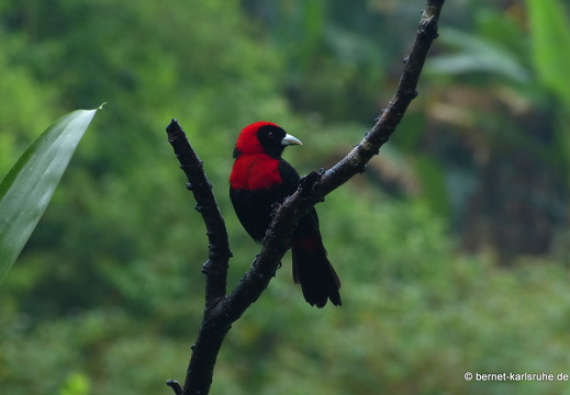 12-11-23-eco-observatory-184