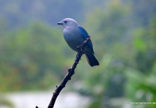 12-11-23-eco-observatory-199