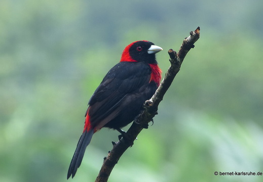 12-11-23-eco-observatory-234