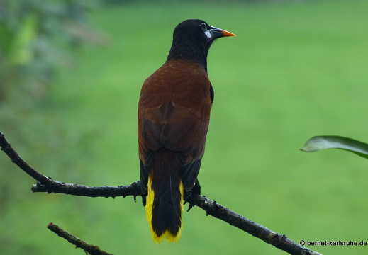 Karibik und Mittelamerika