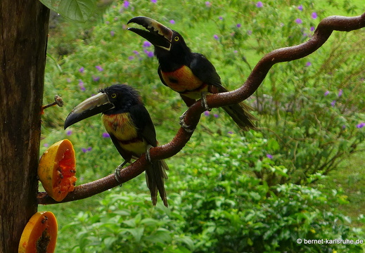 12-11-23-eco-observatory-338