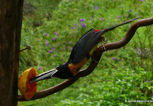 12-11-23-eco-observatory-341