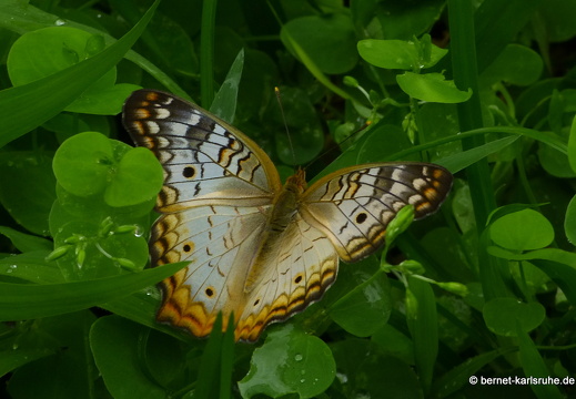 12-11-24-eco-observatory-032