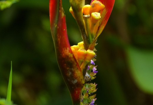 12-11-24-eco-observatory-064