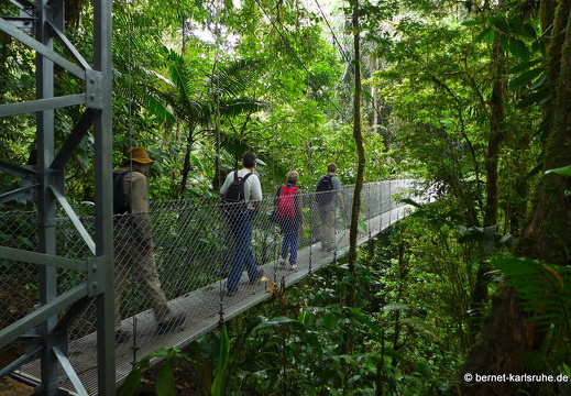 12-11-25-arenal-hangingbridges-223
