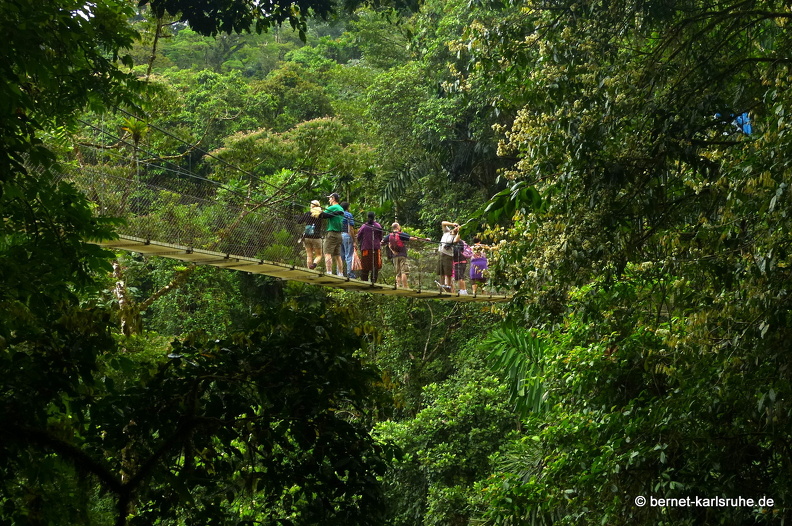 12-11-25-arenal-hangingbridges-281.JPG