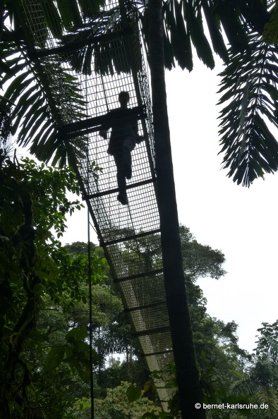 12-11-25-arenal-hangingbridges-329.JPG