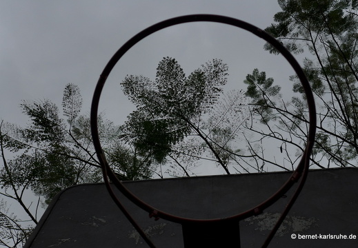 12-11-25-ecoarenal-229