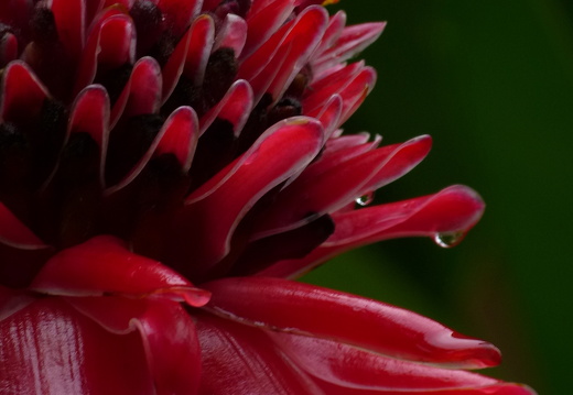 12-11-26-ecoarenal-025