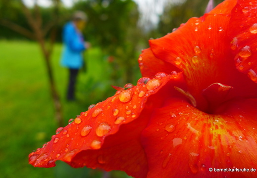 12-11-26-ecoarenal-048