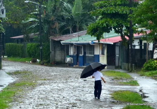 12-11-26-fortuna-080