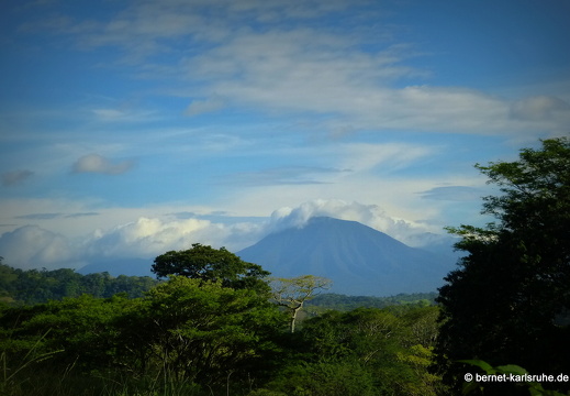 12-12-05-canascastilla-231