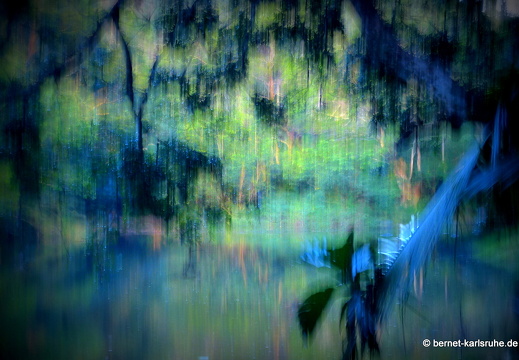 12-12-07-canascastilla-015