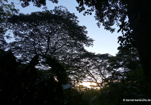 12-12-07-canascastilla-017