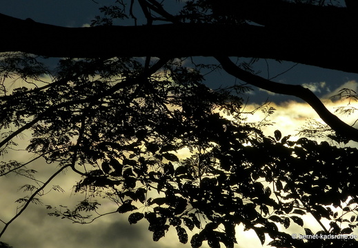 12-12-07-canascastilla-018