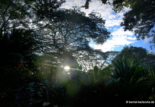 12-12-08-canascastilla-020