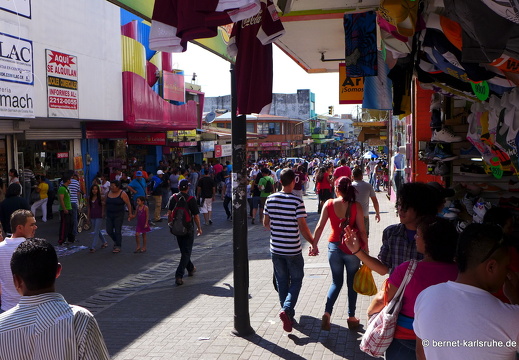 12-12-10-sanjose-657